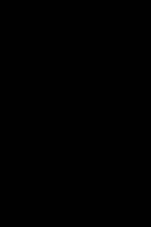 L&rsquo;agence Rougevert, Rougevert