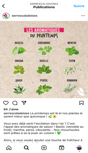 serres-caladoises-post-aromatiques-printemps-uncropped